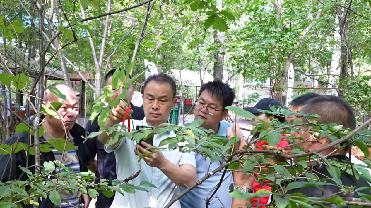 微信图片_2025-09-15_100017_292.png